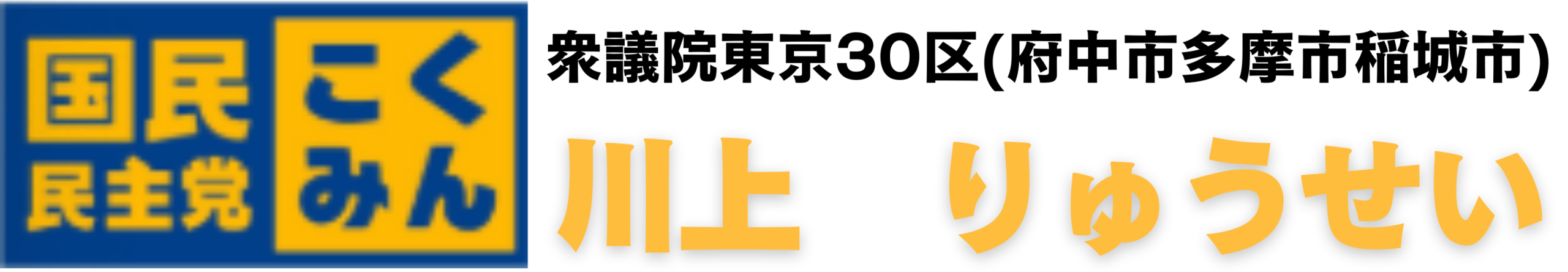国民民主党東京都第30区川上りゅうせい